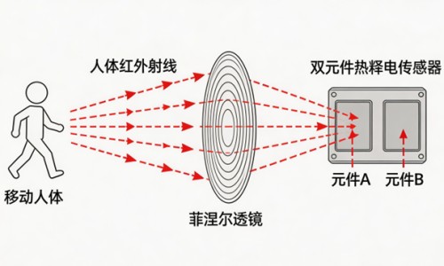 孕妇吃牛尾汤对胎儿有什么好处-孕妇可以喝牛尾汤吗网 :分享孕妇可以喝牛尾汤吗-孕妇可以喝牛尾汤吗晚期知识